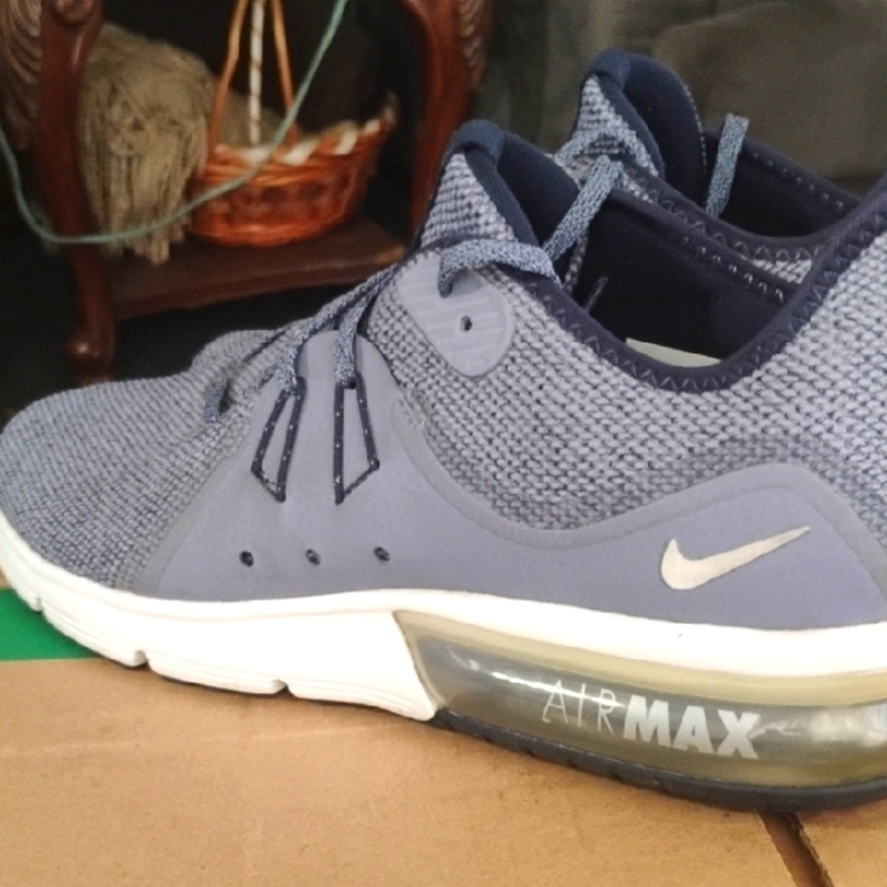 Nike Air Max Blue and White Athletic Shoes